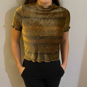 Zara Velvet High Neckline Top
